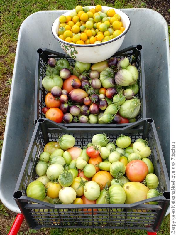 и ещё раз, третья повозка)) бог любит троицу))