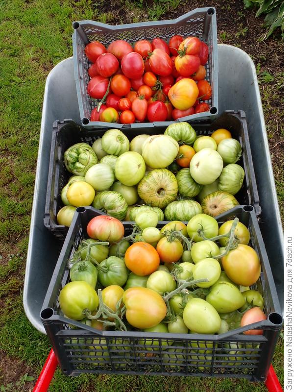 и ещё ходка до дома))