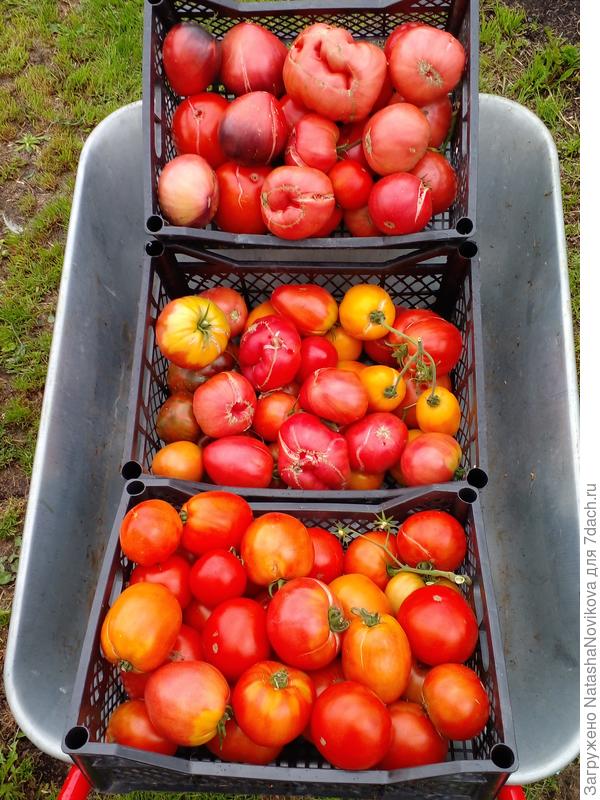 ту ту и поехали на тележке в дом))