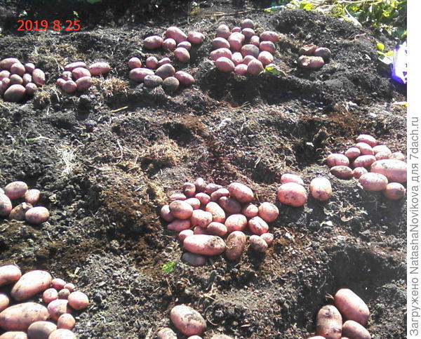 была же погодка в сентябре...когда то))