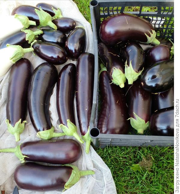 все переработаю))