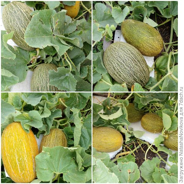 сегодня некогда снимать