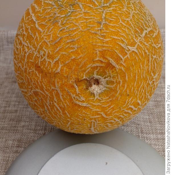 начинает спеть))