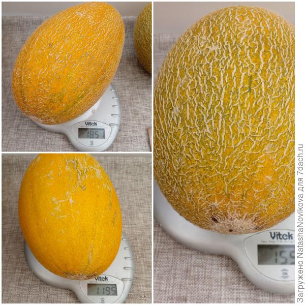 вес вполне))