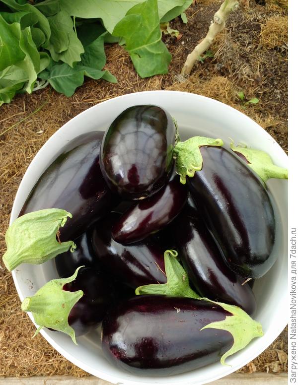 на заготовки - самое то