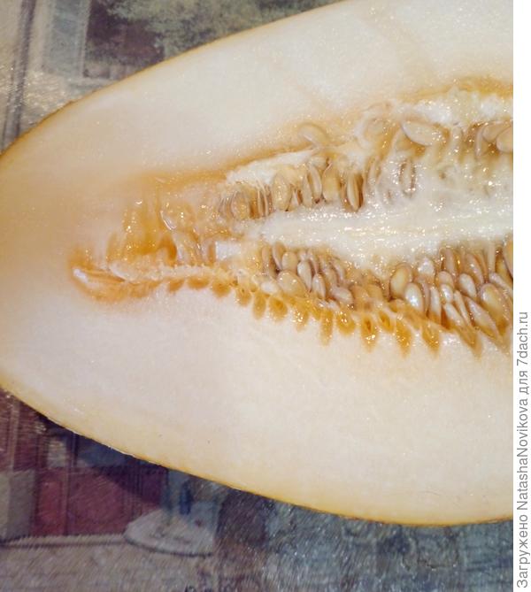 сорт "солнечный бриз"