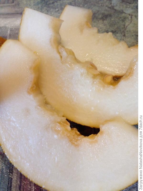 какие семидачники молодцы, помогали советами))