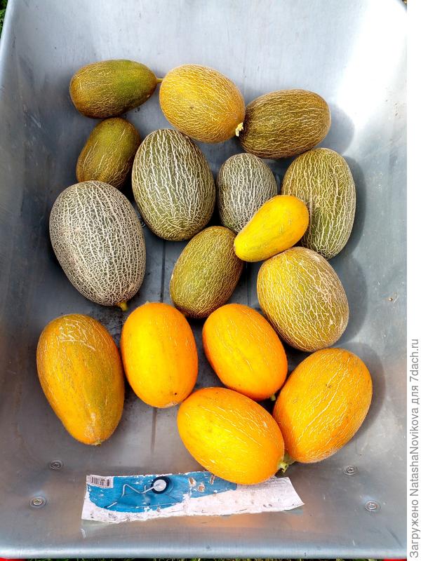 вот и у меня почти тачка набралась))