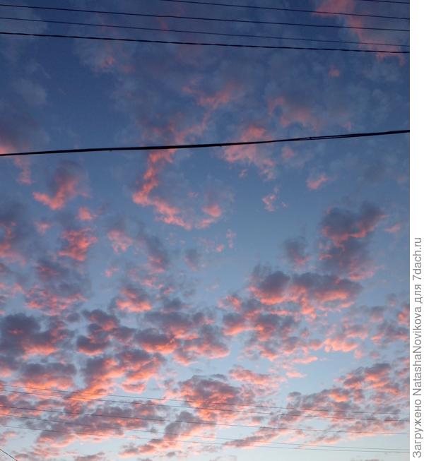 облакааа - разноцветные барашкиии))