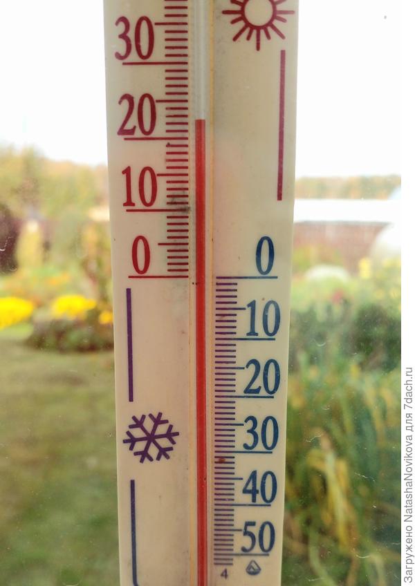 в тенёчке +23° летом редко бывали такие деньки))