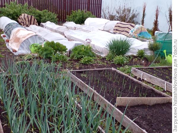 3 июня 2022 года((