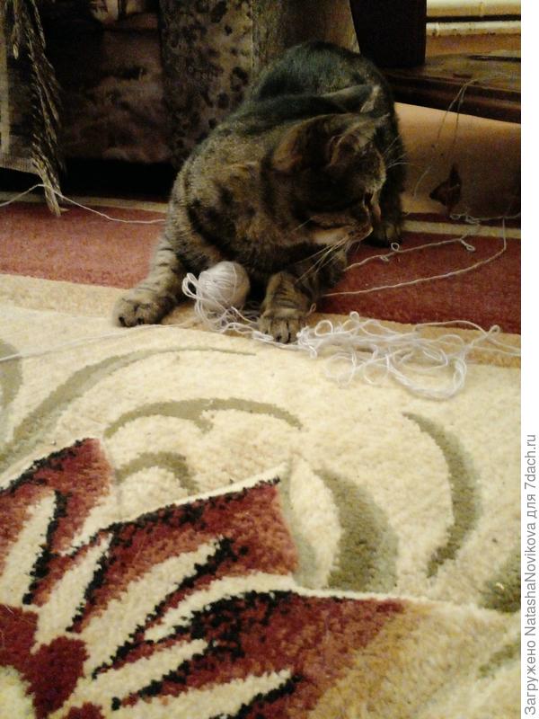 Масяня помогает вязать носки))