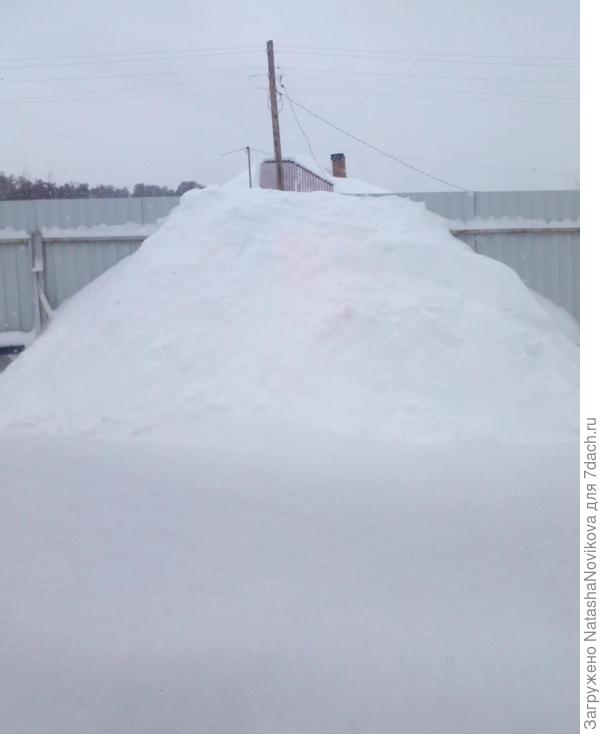 всё в ограде уже нет места(( за оградой такая же история((