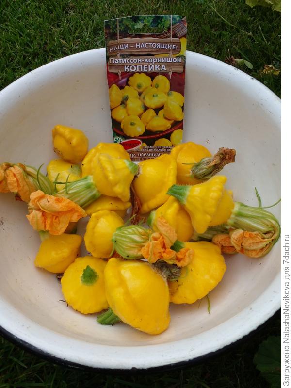 и овощи бывают почти оранжевыми))