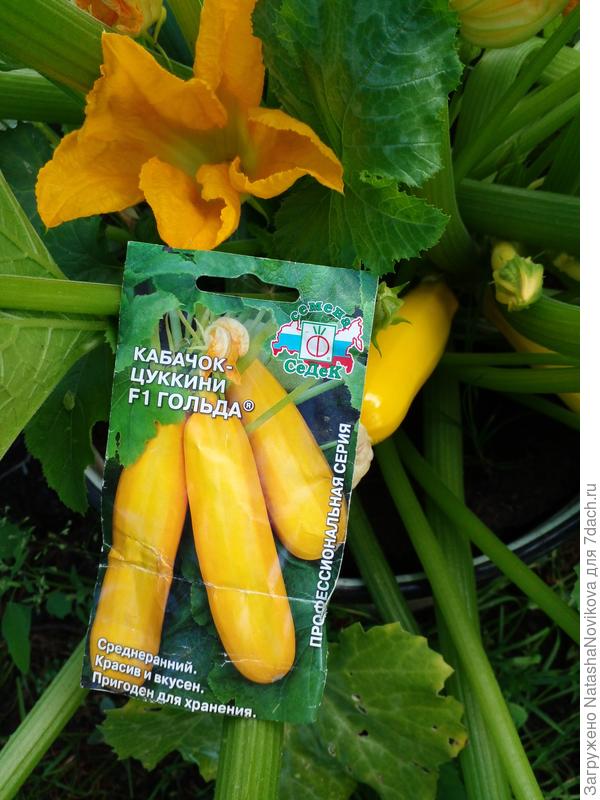 солнечными))