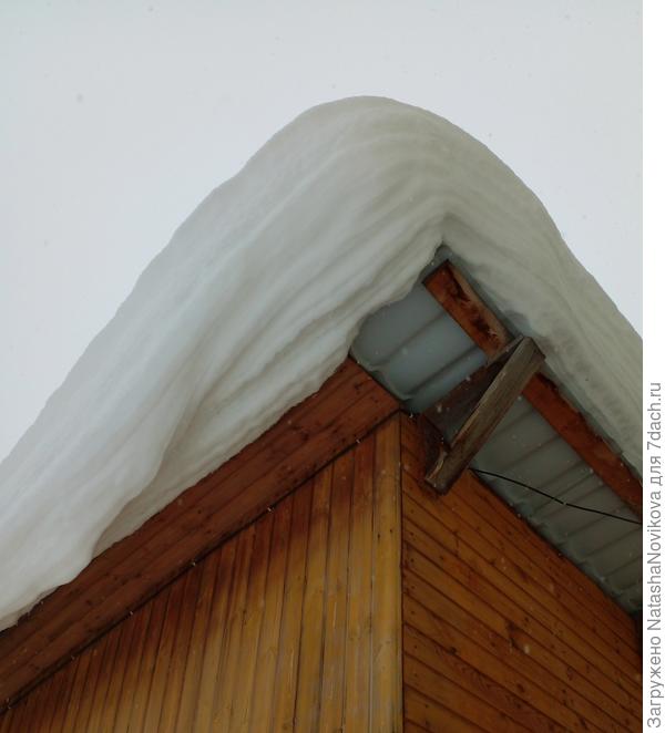 над головой грибы((