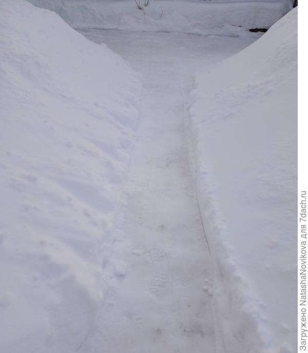 от ширины ограды в 10 метров осталась заячья тропа в 30 см, остальное сугробы((