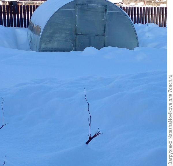 очистили теплицу от снега, надолго ли((