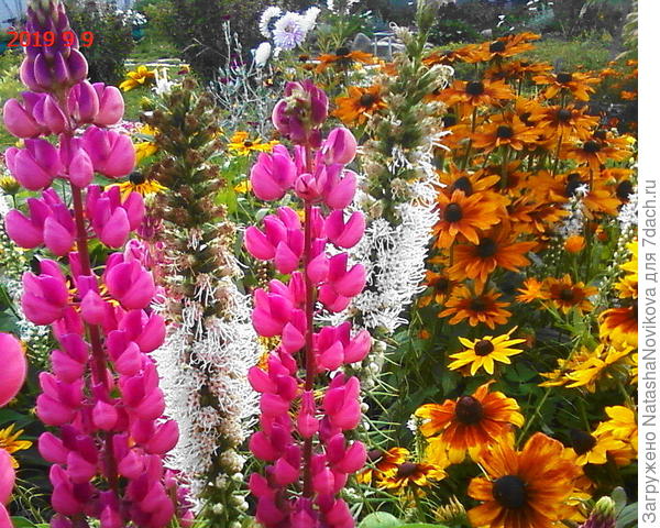 оранж отлично сочетается))