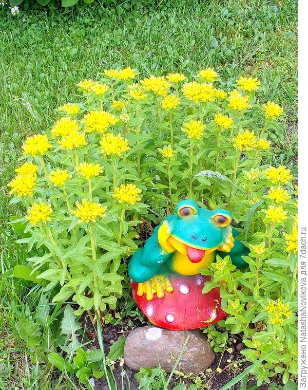 желтенько:))