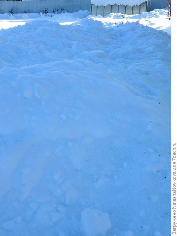 с крыши сошла лавина снега