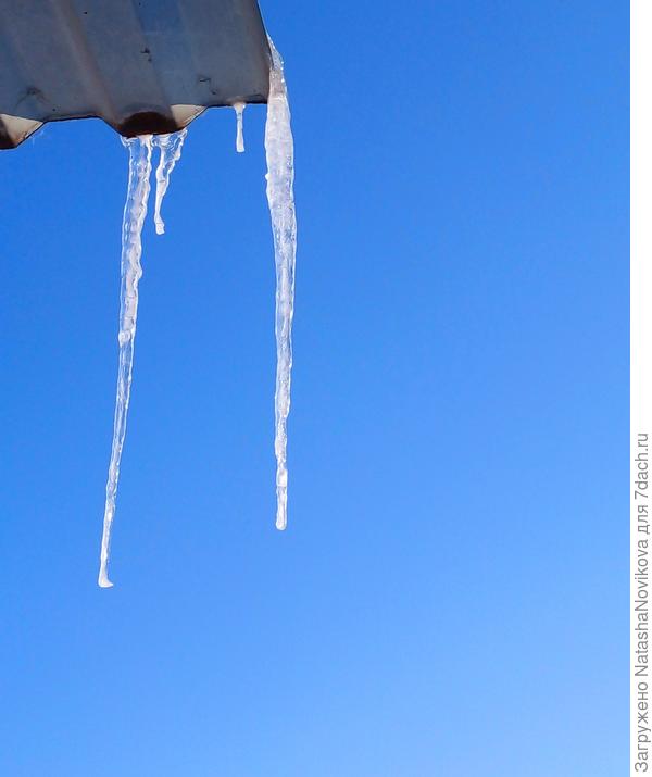 весна, хоть и календарная, всё ближе :)