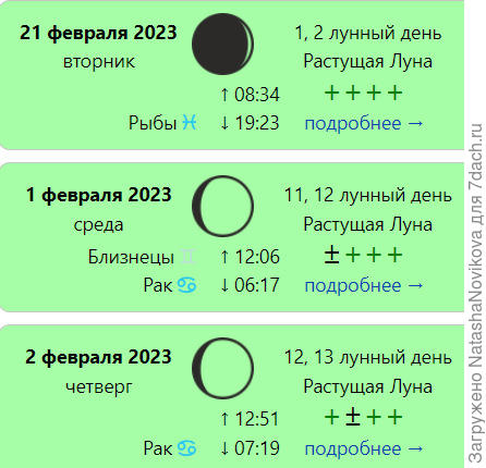 я то же хотела перчиками и баклажанами заняться в феврале, но посмотрев старые фото всё таки перенесу посевы на март, потому что перчики высаживала уже на цвету - тормознули