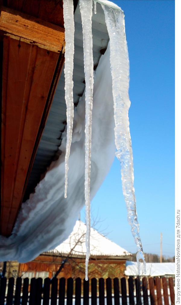 сфоткала только что сосули:)