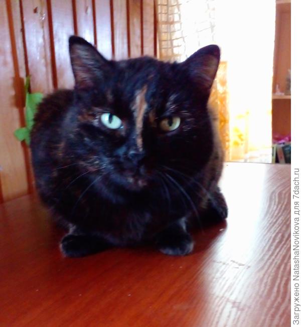 Маруська бдит:)