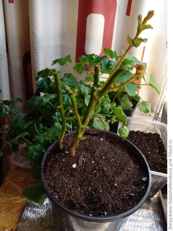 двое суток от посадки