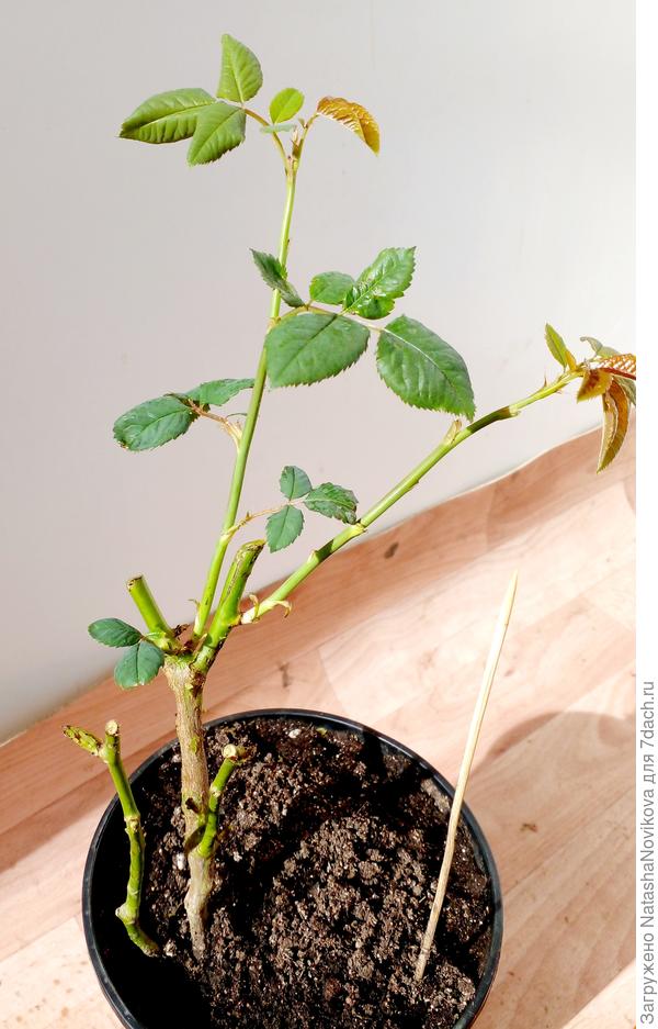 общий вид :((