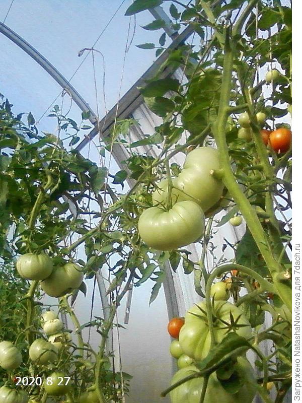 а это с другой стороны - такая же грязюка