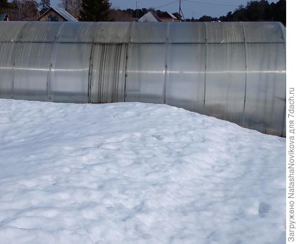 моя "красавишна" только что, дня через два проползу