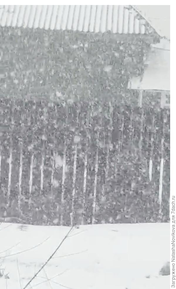 днями сыпет снег