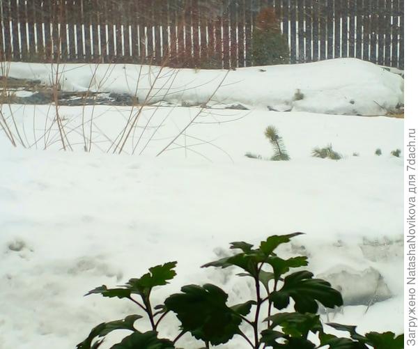 практически весь огород в сугробах