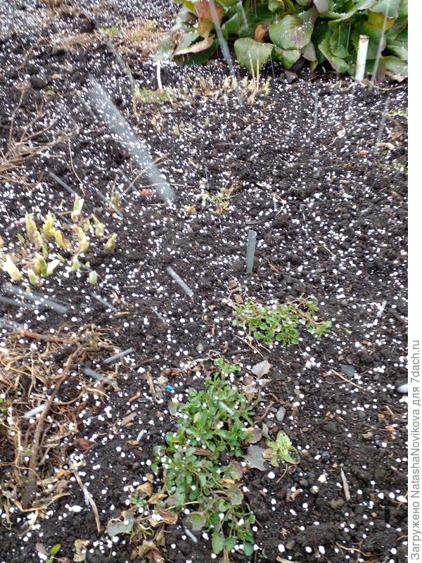 начало то ли снегопада, то ли града