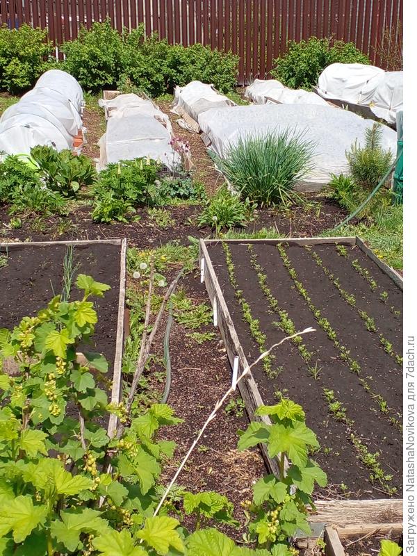 3 июня 2022 года