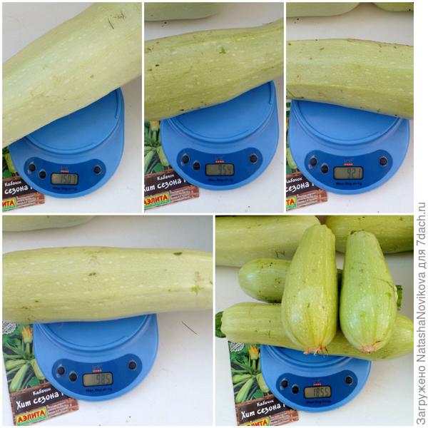 два дня назад, урожай не первый и надеюсь не последний;)