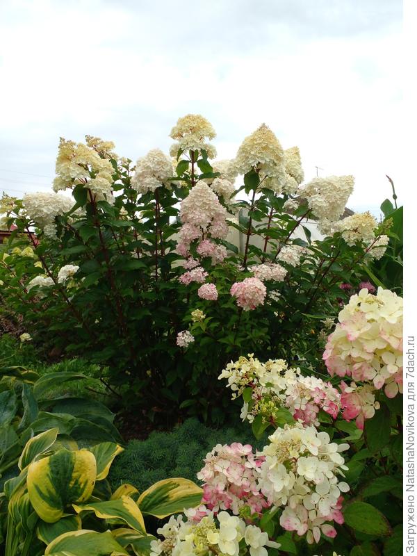 неба нет совсем - серость...