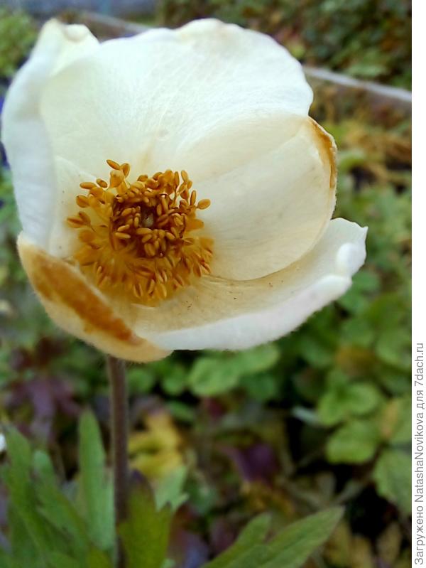 последний прострел