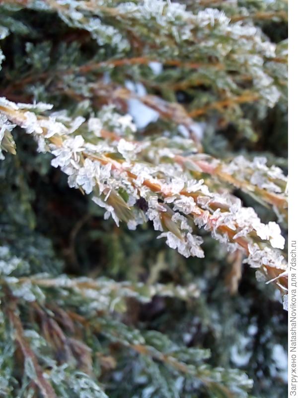 узоры из кристаллов