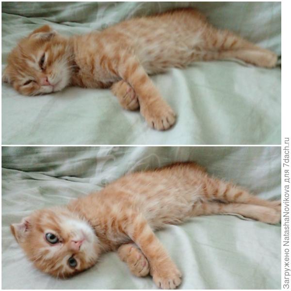 устал бедненький :)