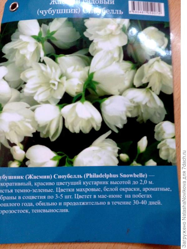 а ждесь пишут что теневынослив.