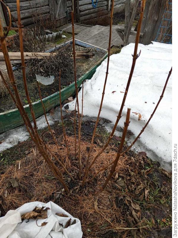 сегодня она такая