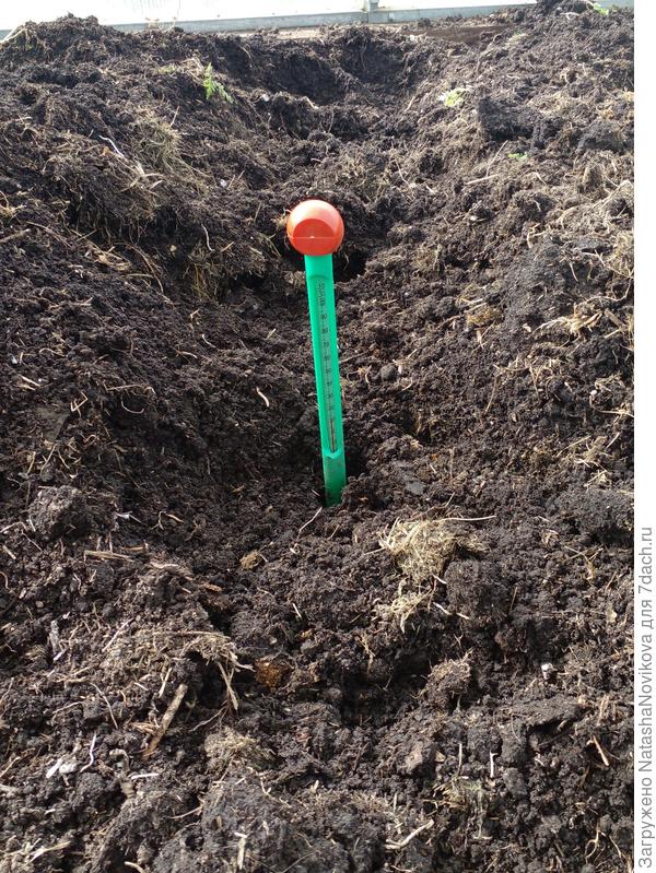 на дне траншеи +11°