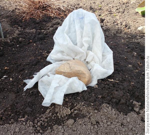 бутылку укрывным замотала от солнца и придавила от ветра каменюкой