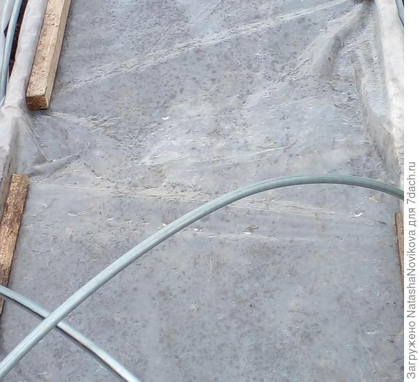 земелька согревается, тёпленькая становится :)