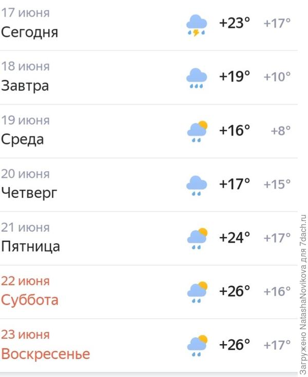 на недельку обещают передышку от жары