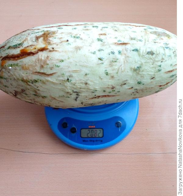 эх, не успела