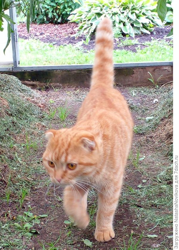 контролирует :)